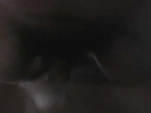 Sexy babe looks so sweet being fucked in the amateur POV video