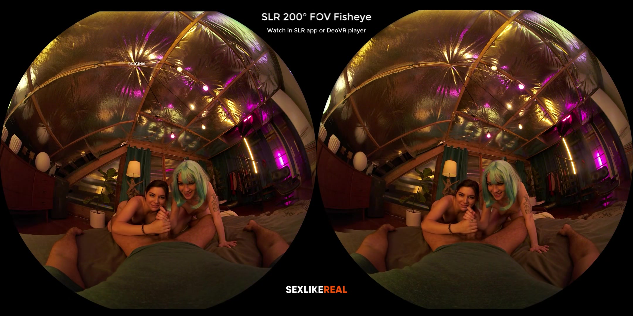 Upscale Test Comparison - Slr Labs