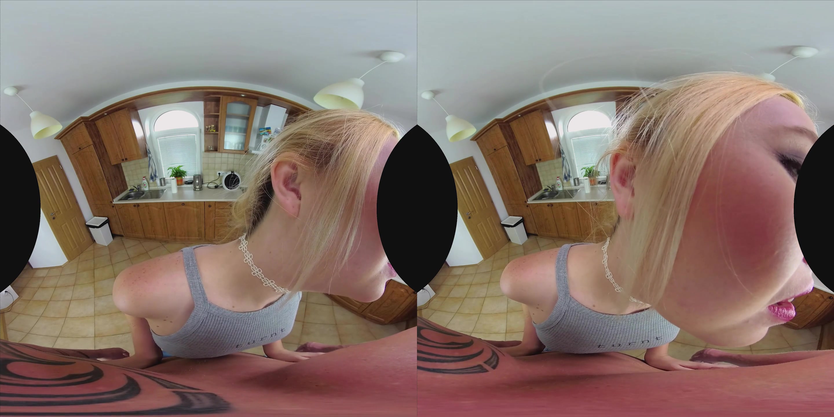 CzechVR 168 Good Housewife Always Swallows