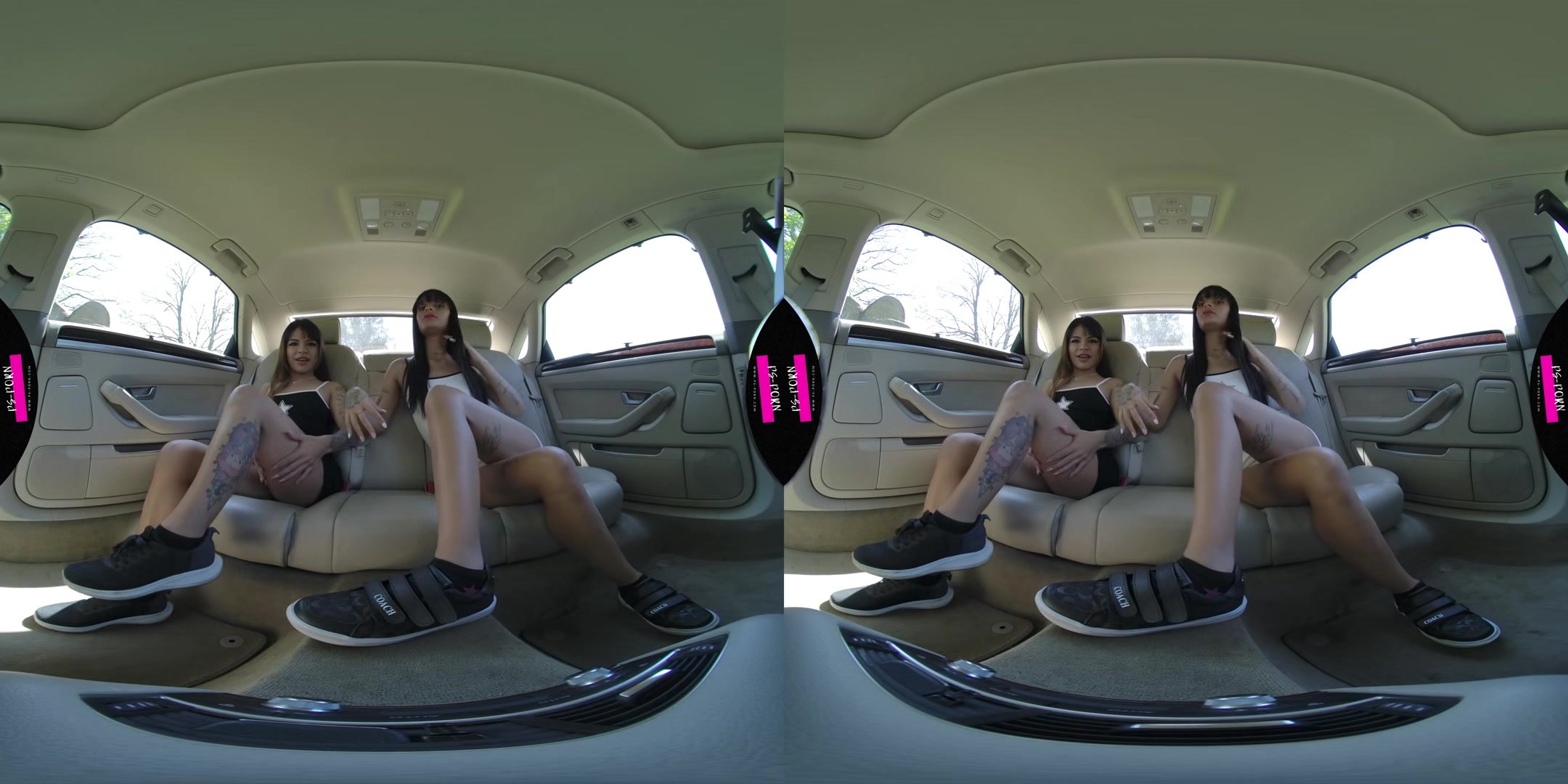 Girls Masturbating In The Car - Ps-Porn