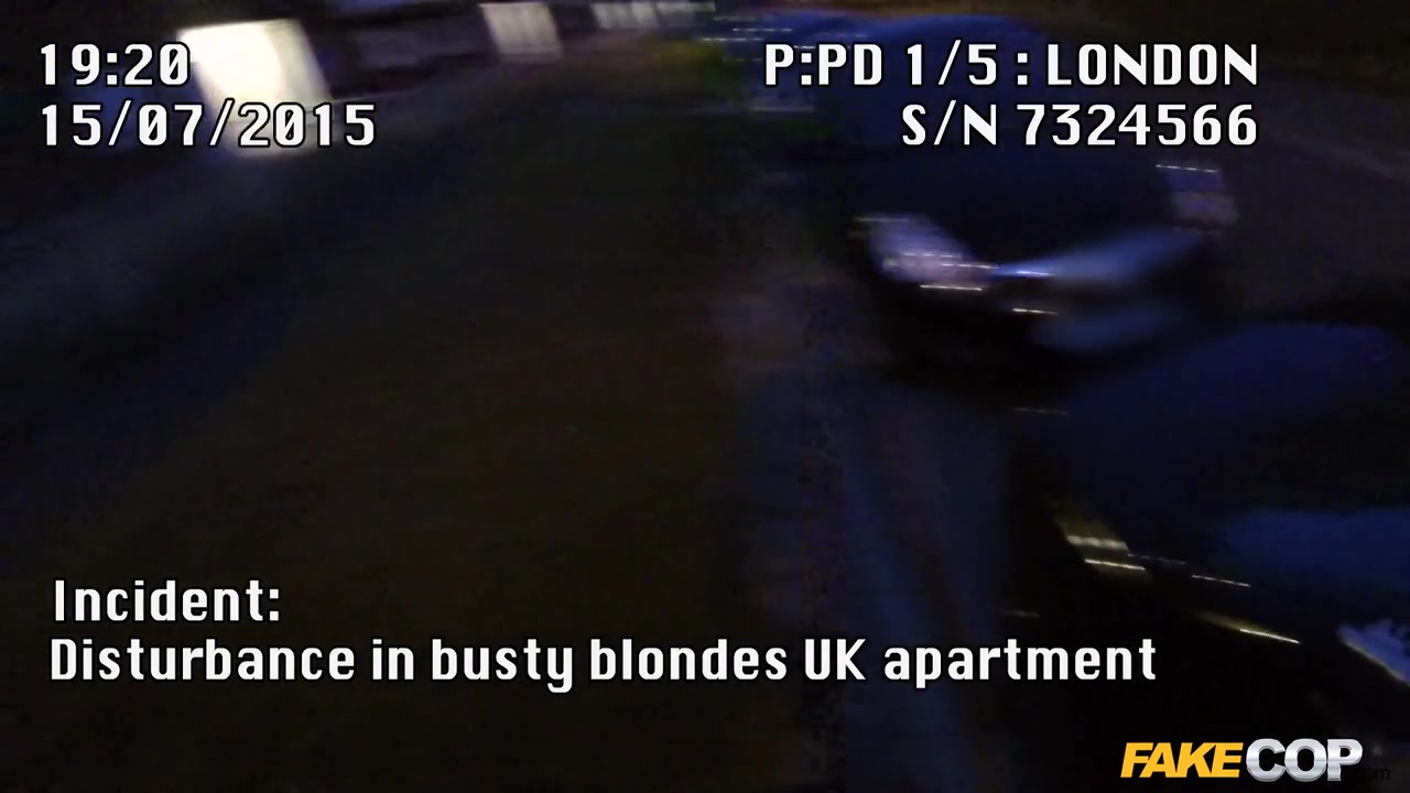 Megan in Banging the Blonde : Busty Blonde's Night In With The Cop - FakeCop