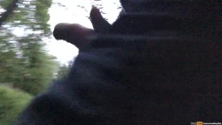 Dutch guy is jerking in public but a train is passing by