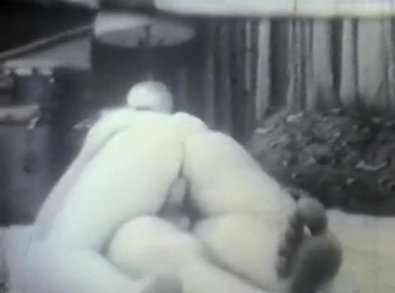 Retro Porn Archive Video: Golden Age Erotica 04 05