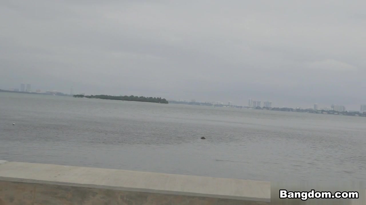 Pristine Edge in Miami Tours, The Bangbus way Video
