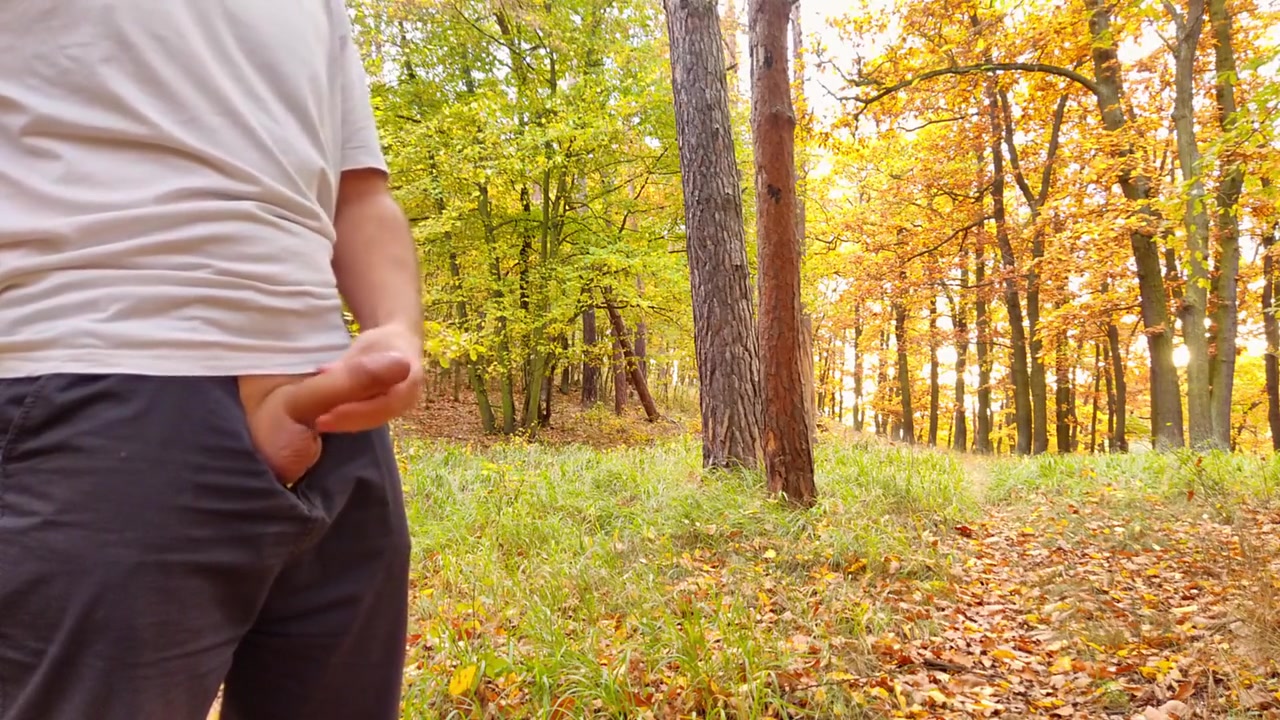 Nice Cock Cumming In Forest In Fine Rain