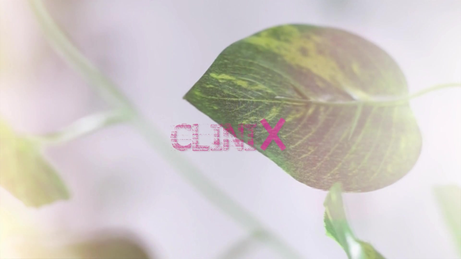 Clinix 1 - Sex Movies Featuring Africansexglobe