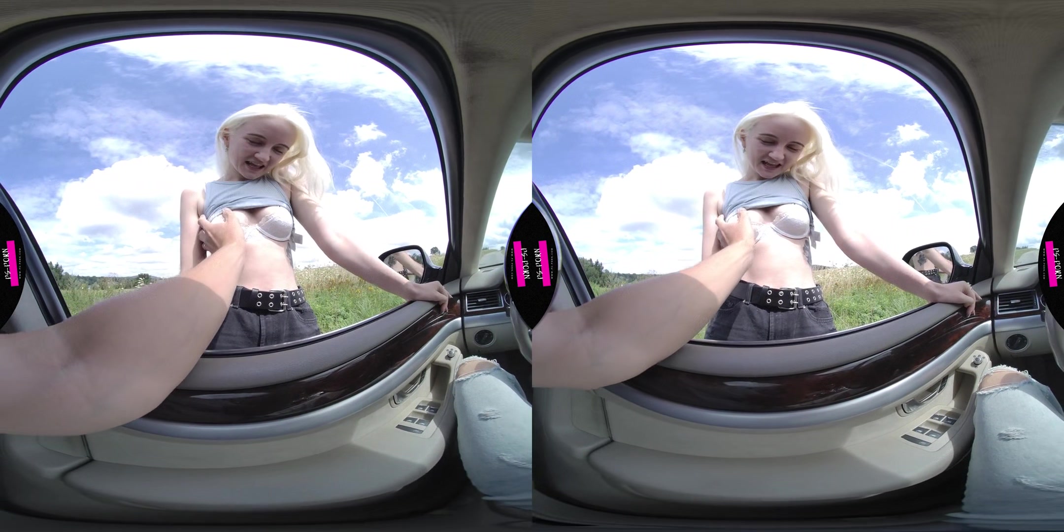 Sex In The Car And Nature With Daruma