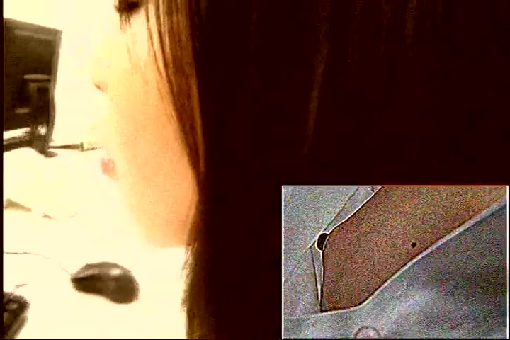 Asian Japanese Video