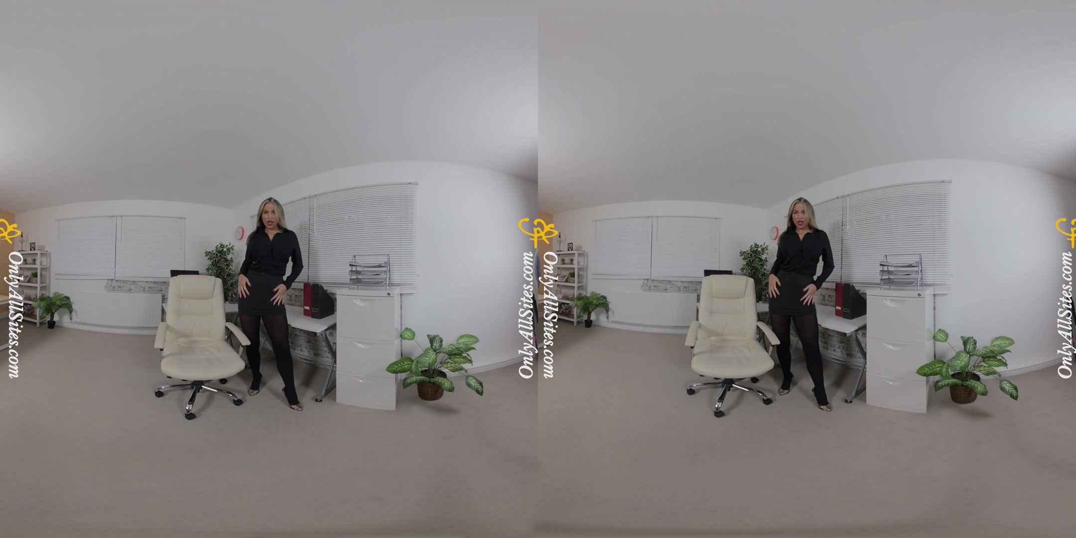 Blondie Rose - Sexy Secretary - OnlyTease