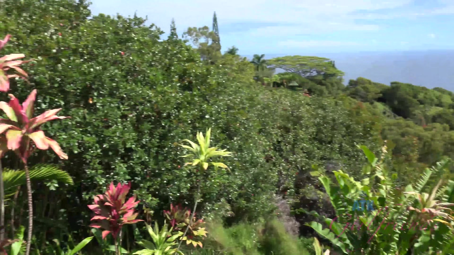 Virtual Vacation In Hawaii With Makenna Blue Part 7