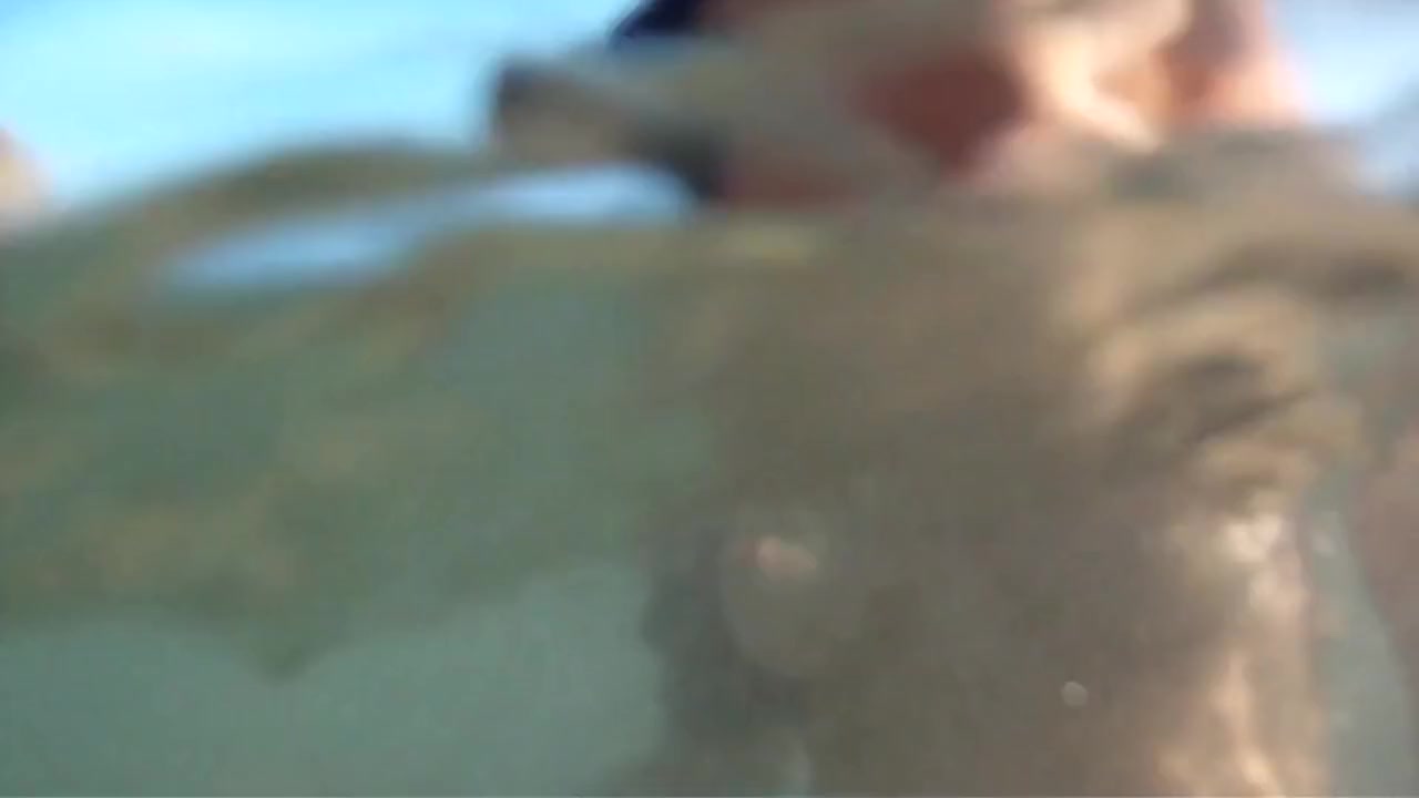 The Young Slut Loves To Take It In The Pussy On The Beach