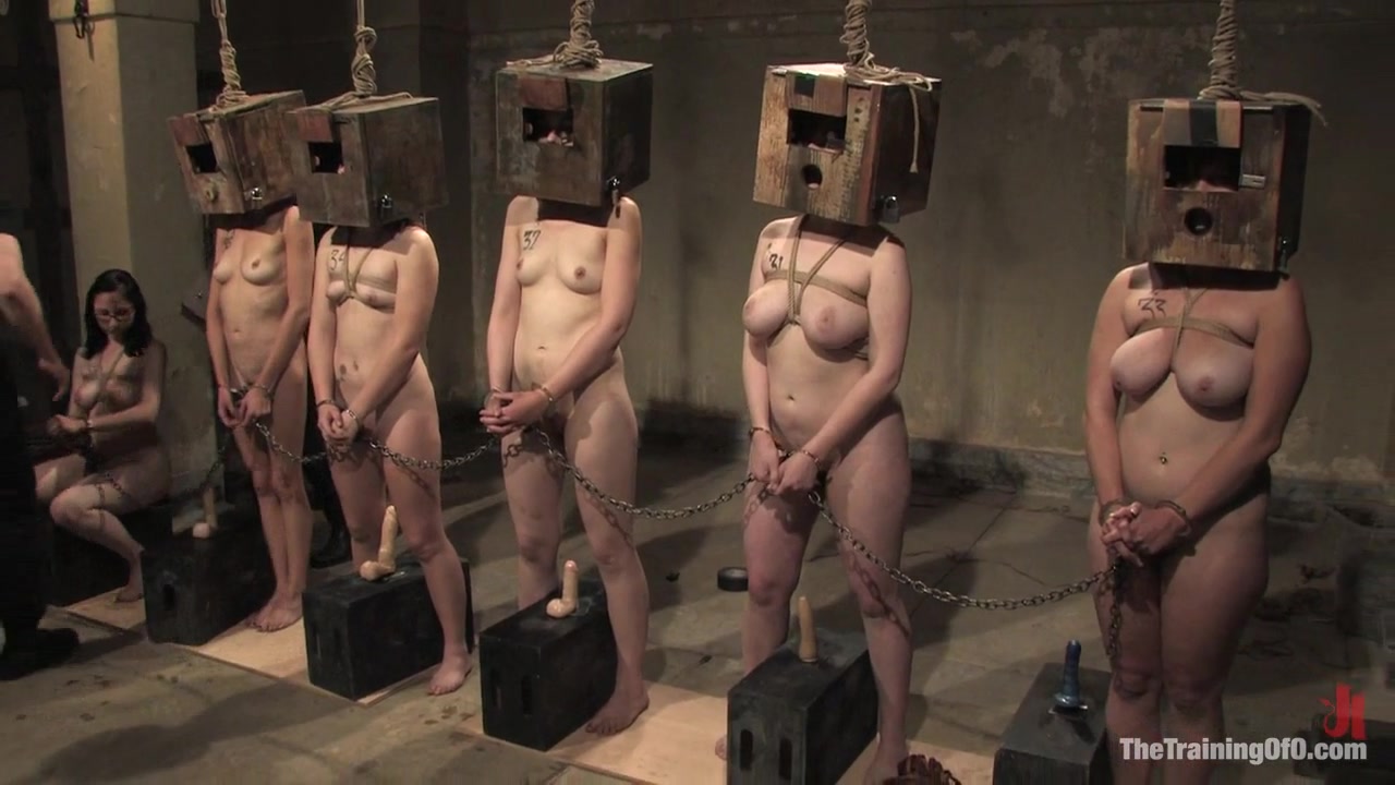 The Auditons Three - TheTrainingofO