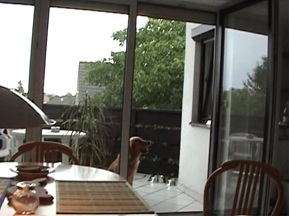 Katerina Sz. in blonde sucks and fucks in this amature video