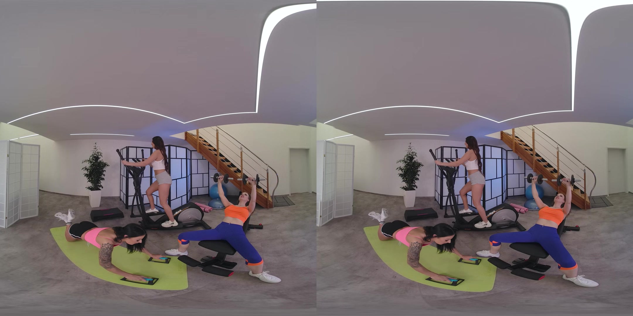 Anal Training for Three Bitches
