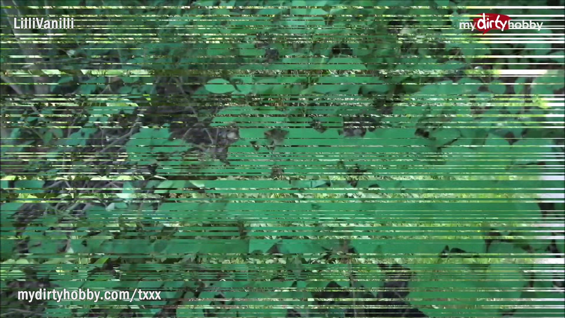 My Dirty Hobby - Busty slut fucked in the woods