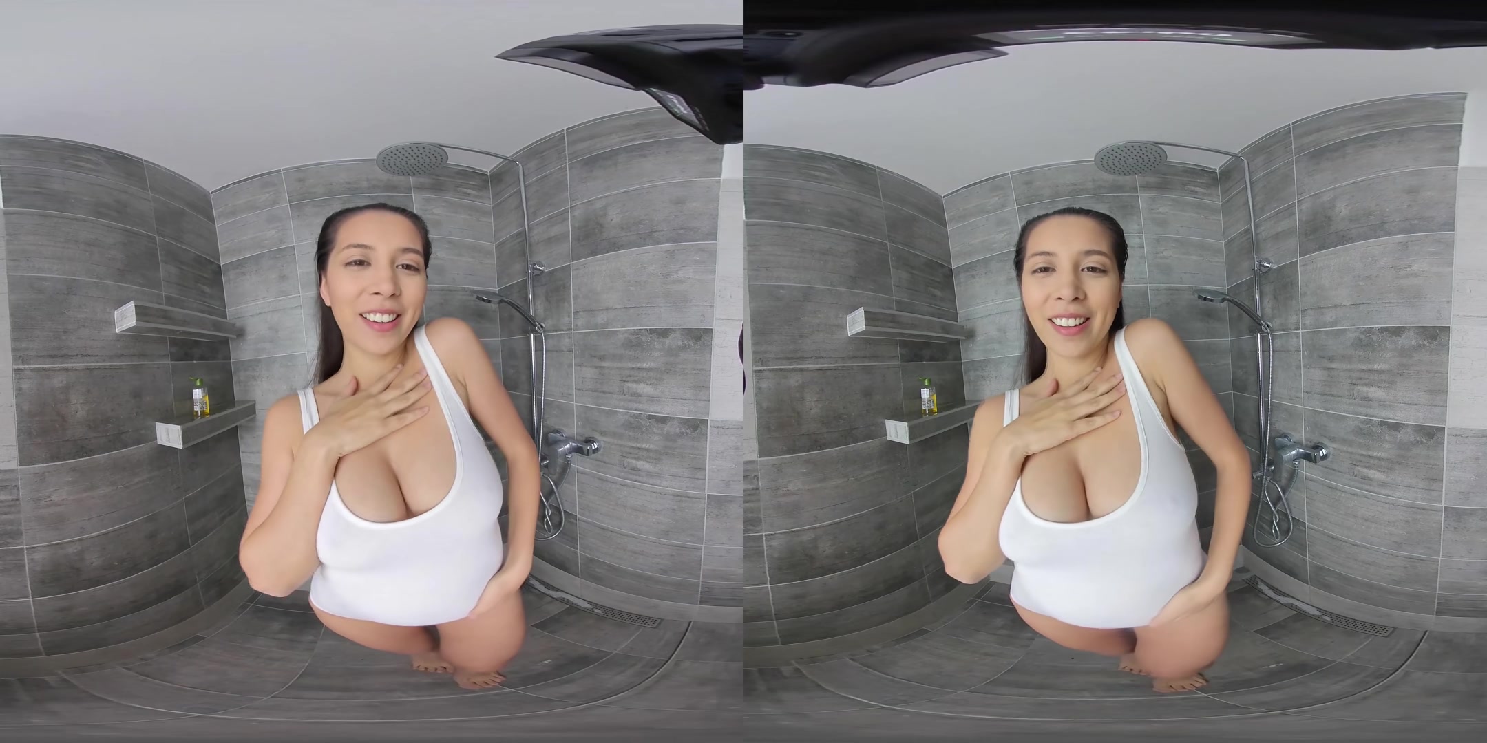 Hard Sex in the Shower - PS-Porn