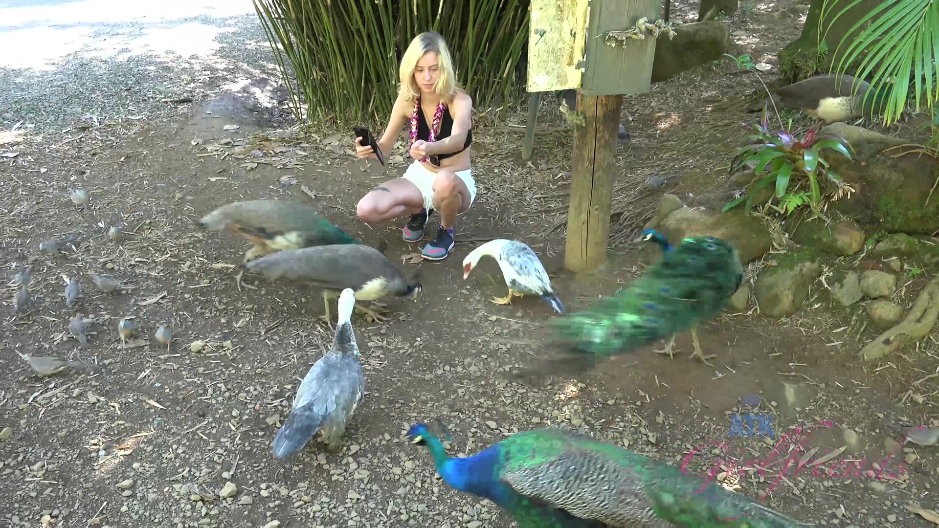 Virtual Vacation Hawaii With Haley Reed 7/7