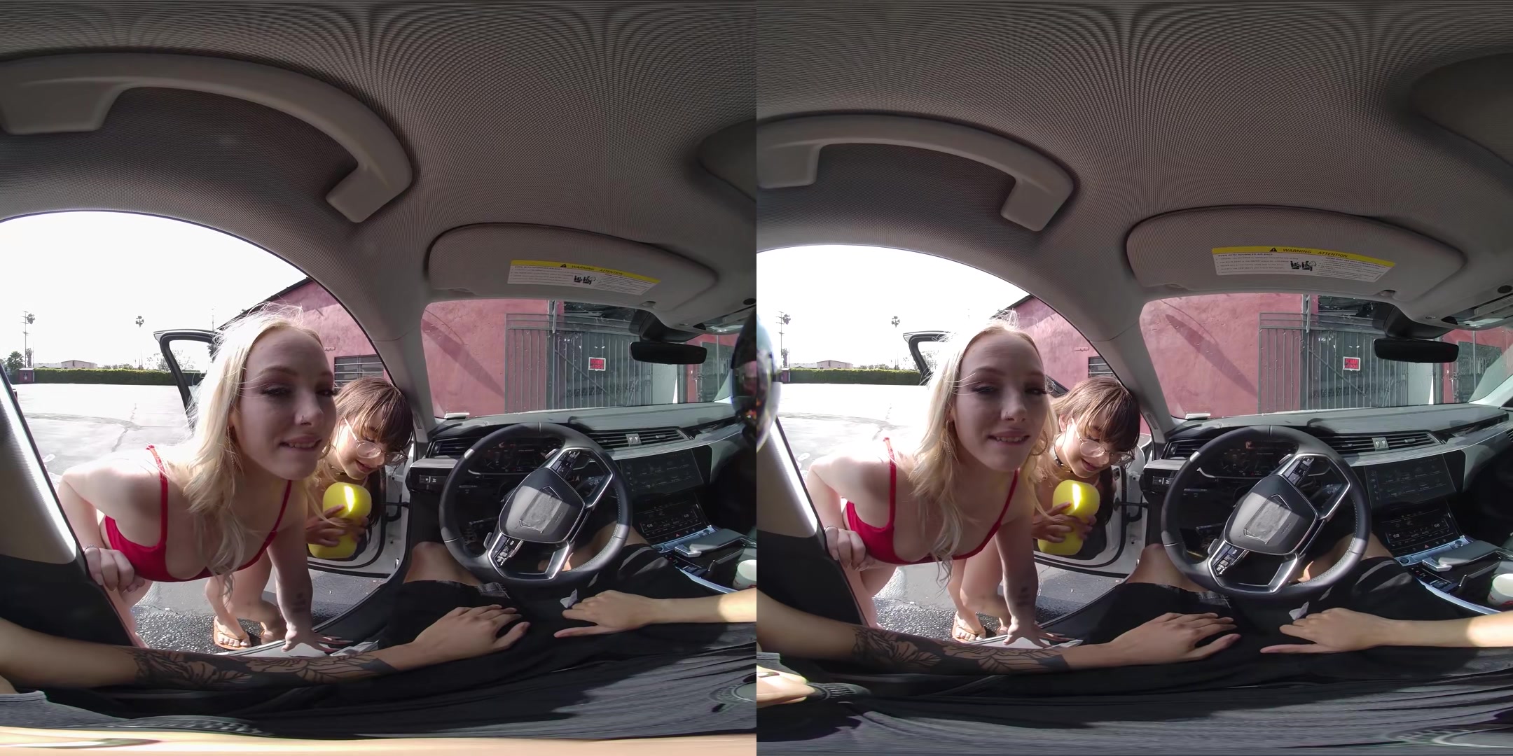 Bikini Car Wash - VRFanService