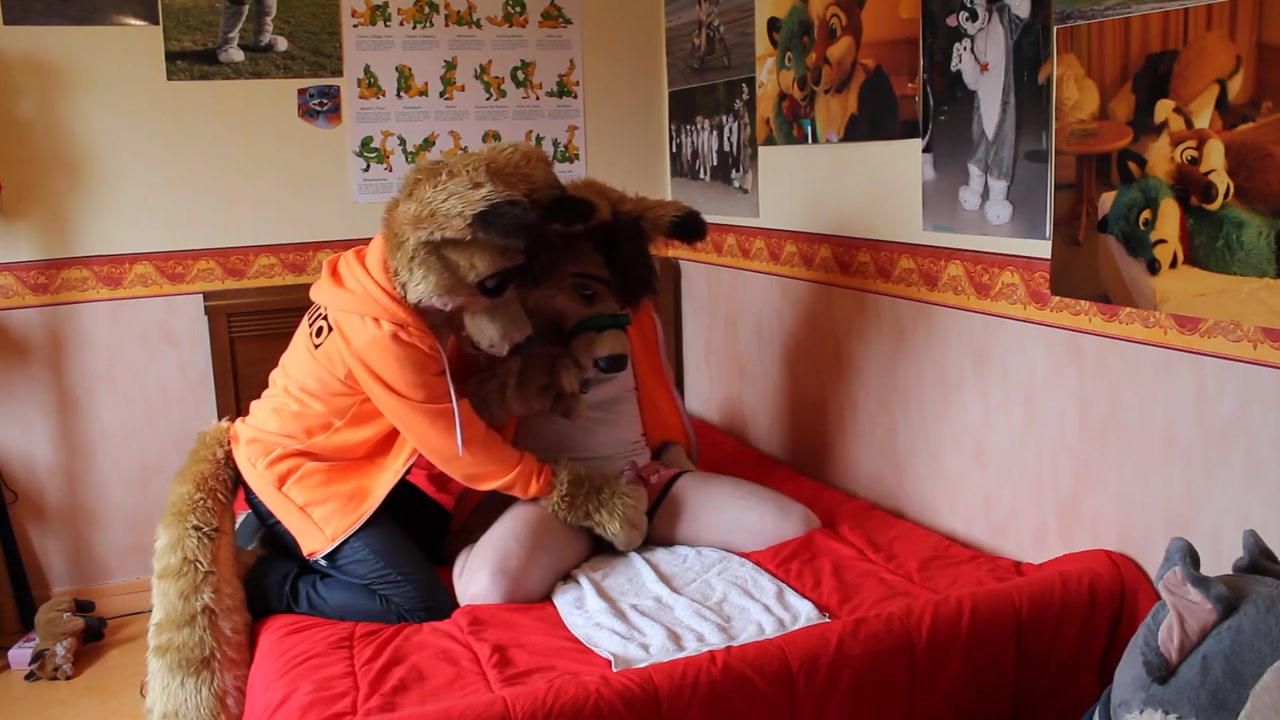 Tied Down Dingo Gets Overstimulated Hard