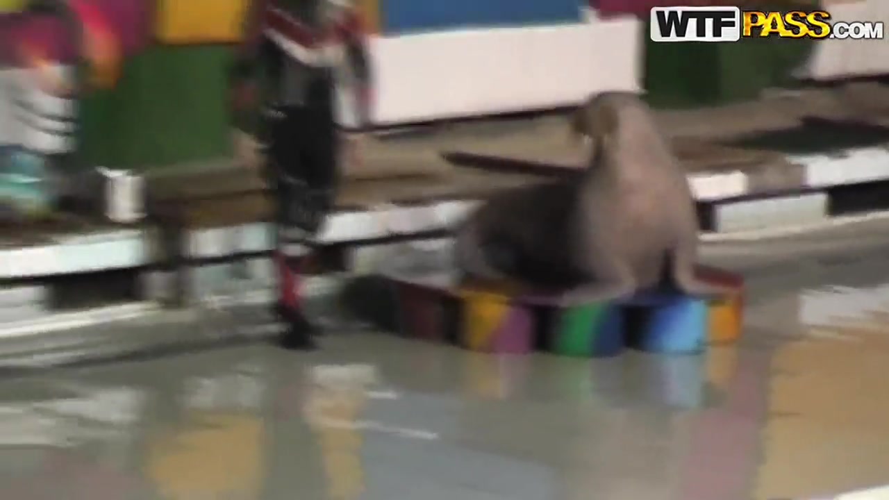 Cute and young brunette babe Natasha is getting seduced by her workmate at dolphinarium for naughty fuck.