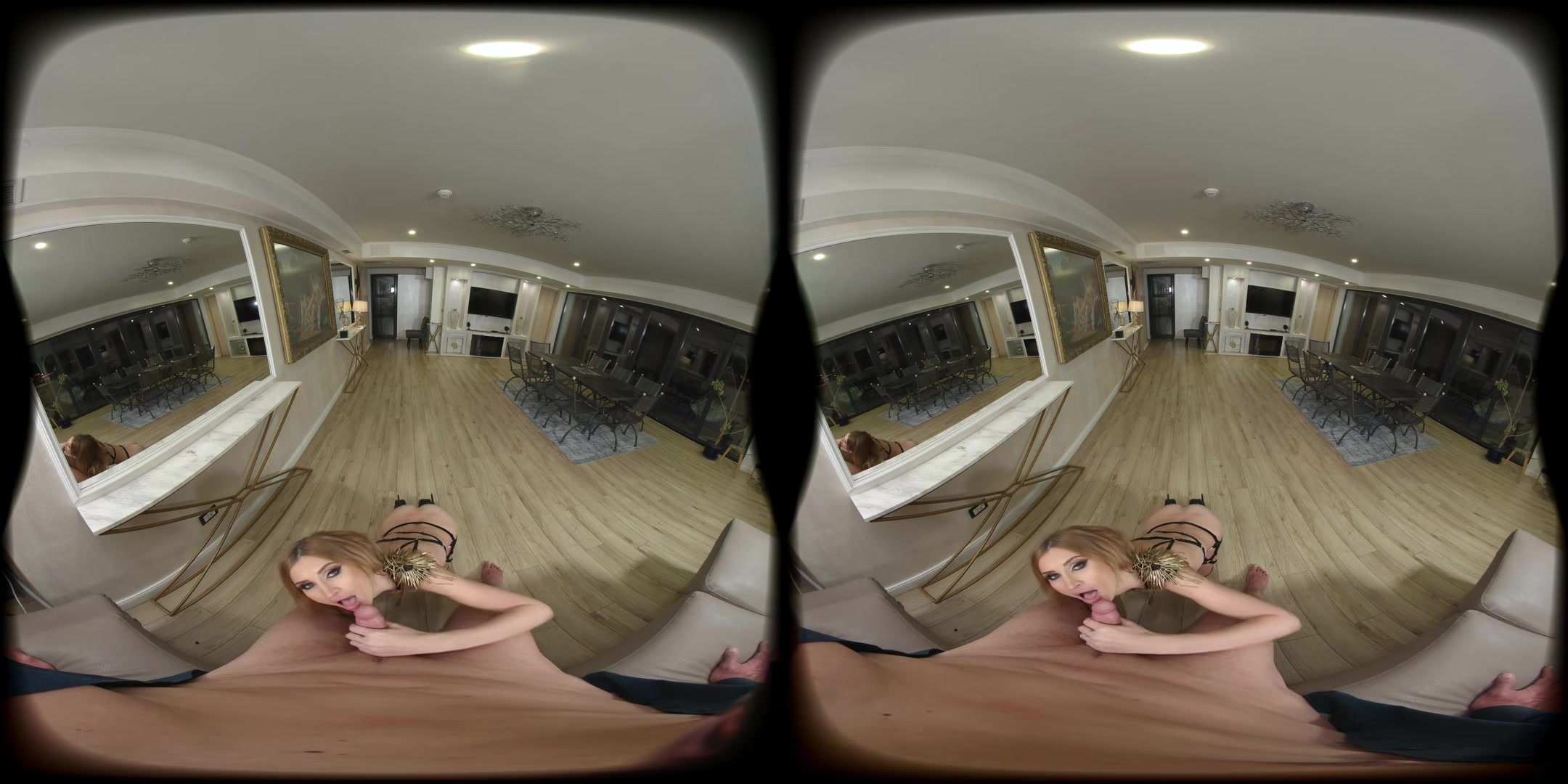 Political Assistance - Vroomed - Vr Porn Video