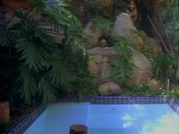 Debbie Evans, Blair Harris, Don Fernando in classic xxx video