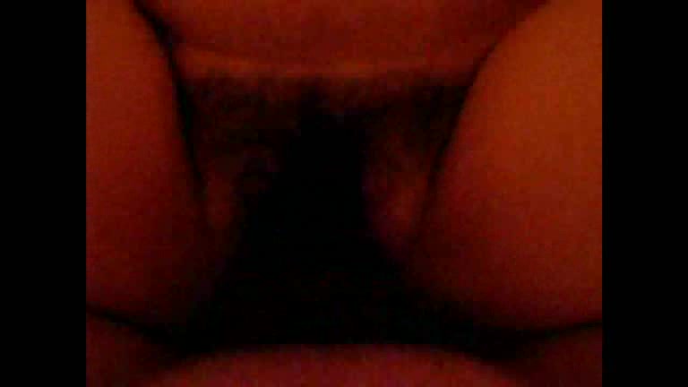 Hairy dick enters hairy pussy in the amateur video
