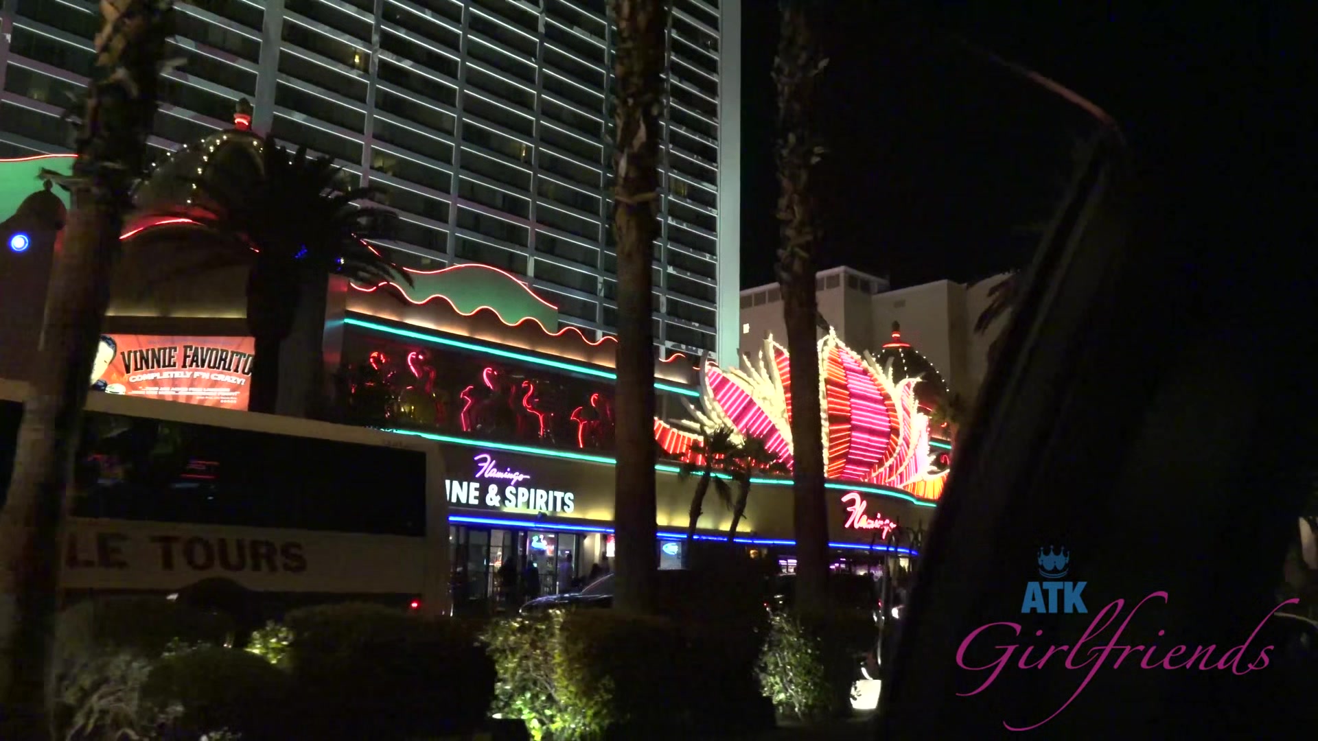 Virtual Vacation With Taylor Whyte Part 1