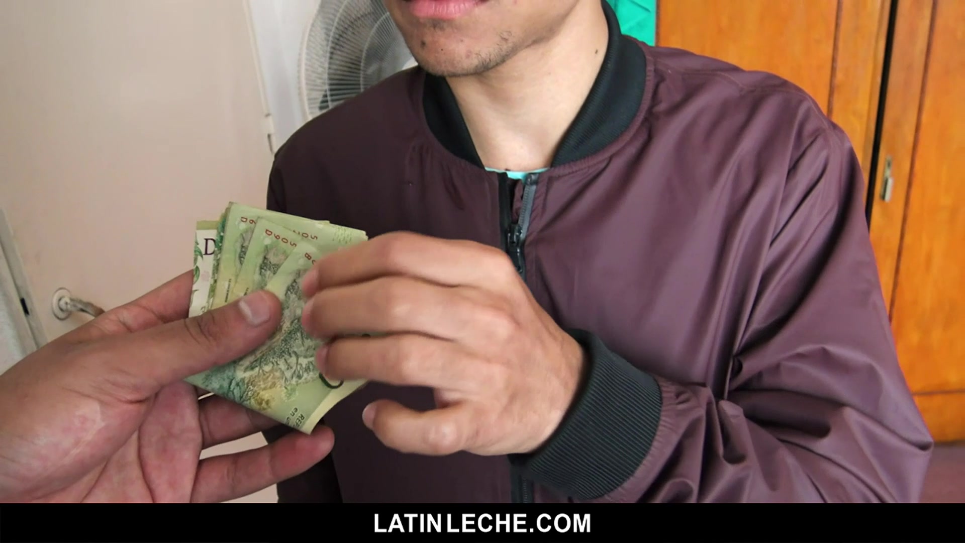 Numero 82 - LatinLeche