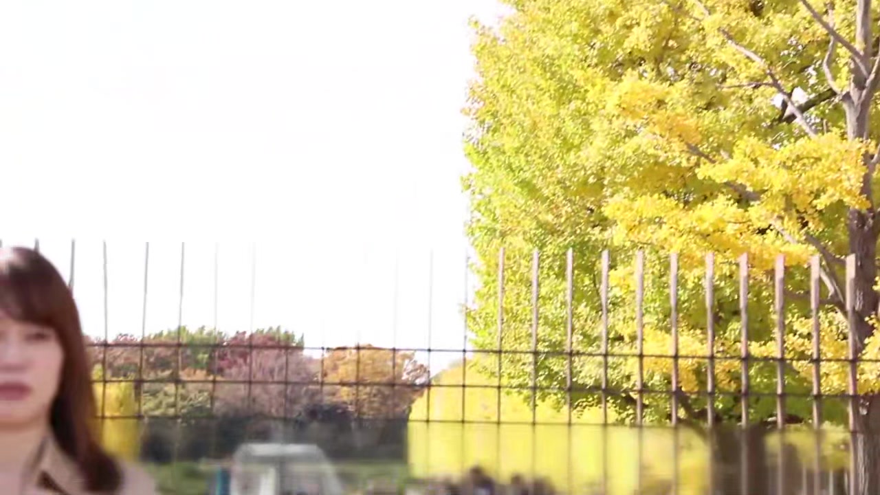 0009249_ワキフェチ ハメ撮り セックスなどが含まれている