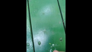 Jerking off in the park