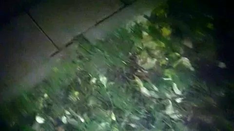 Kristel in handsome chick enjoys street fucking with some guy