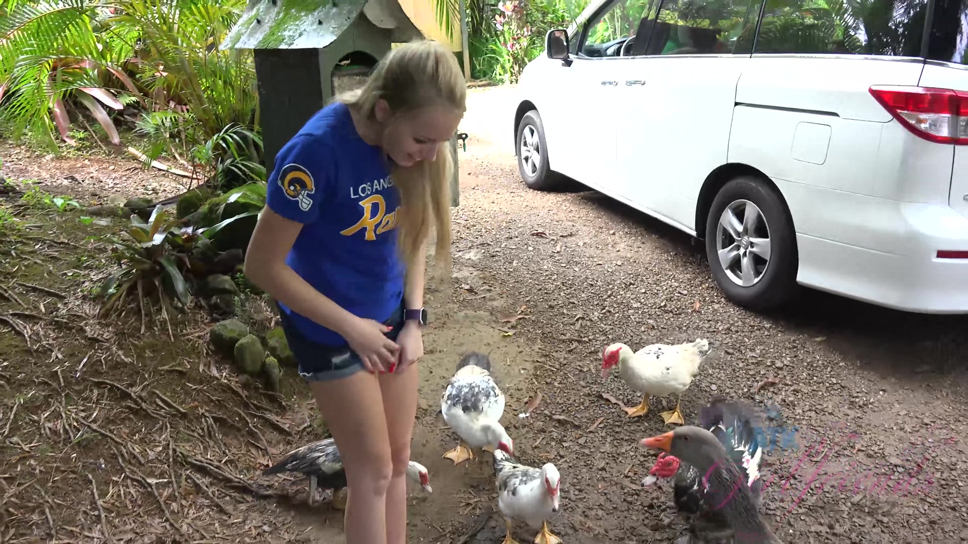 Virtual Vacation Hawaii With Scarlett Sage 5/6
