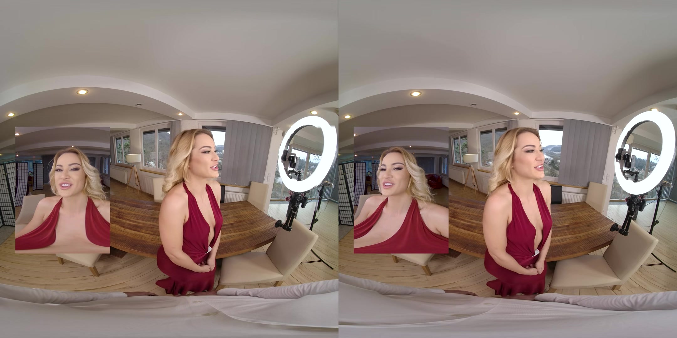 Nasty Home Video 2