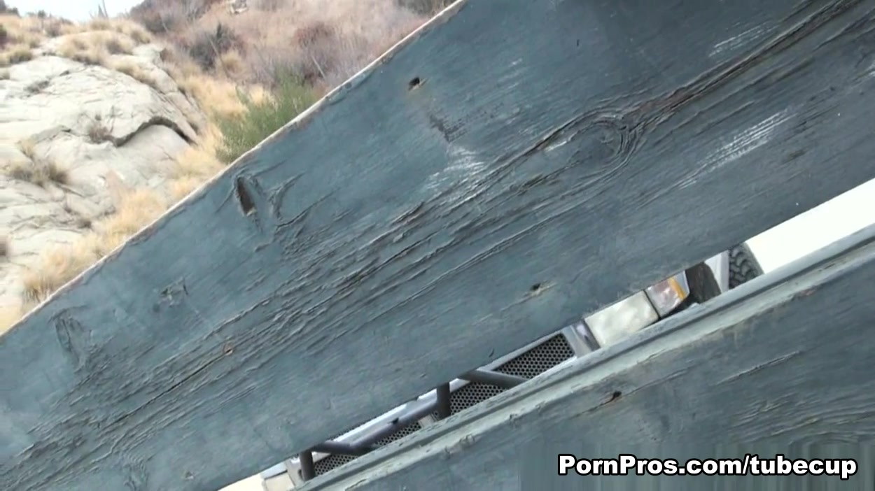 Dirty Public Affairs - PornPros