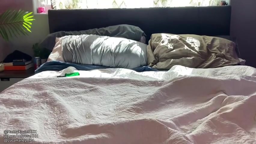 Ass Wrecking, Cock Stuffing Combination, Web Boys