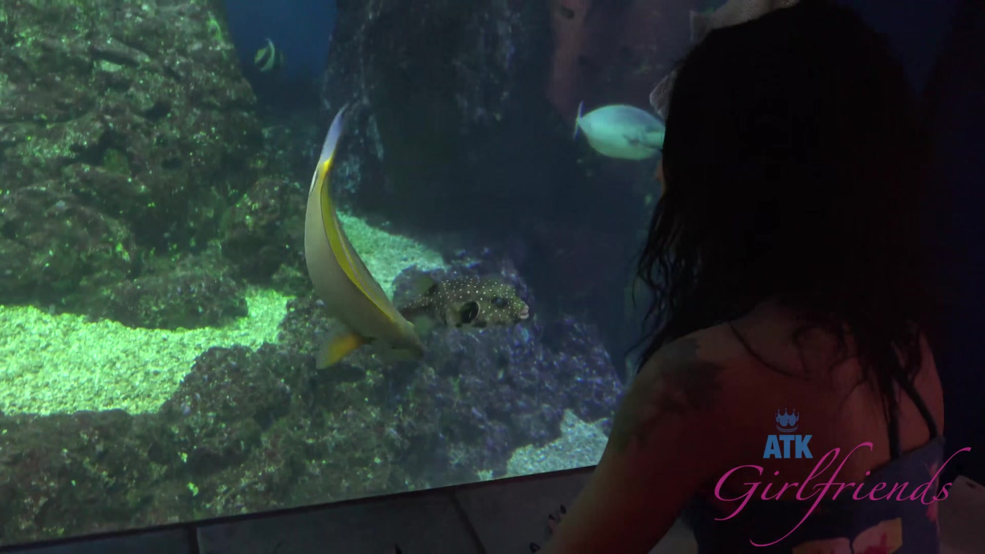 Virtual Vacation In Hawaii With Holly Hendrix Part 4