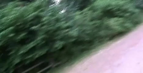 Ravishing dark-skinned chick eating my fat cock in a park
