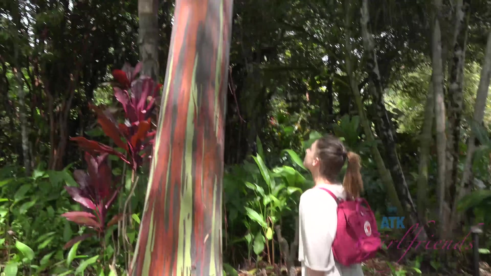 Virtual Vacation In Hawaii With Kristen Scott Part 4