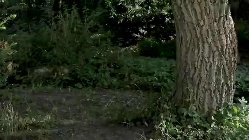 Cute Big Dick Twink Bareback His Friend Outdoors Sex Boys Porn