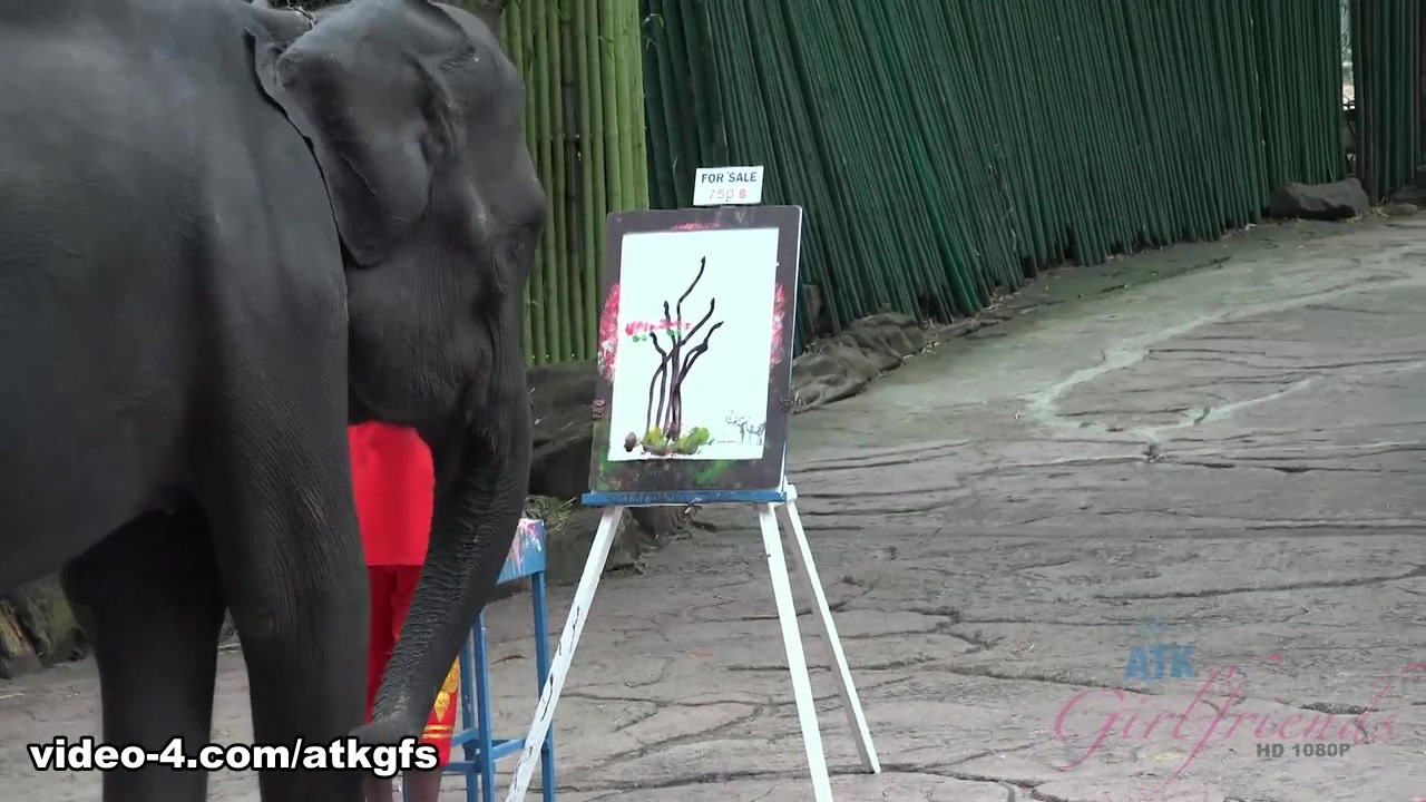 Moka Mora in Moka Is Having The Best Time Feeding Animals - ATKGirlfriends