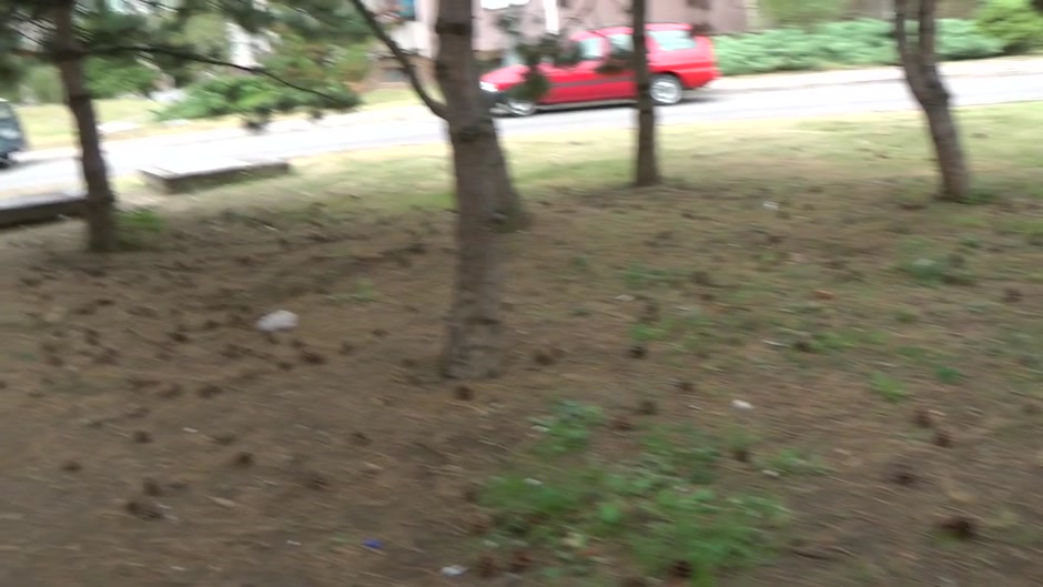 Horny slut gets fucked from behind in the outdoors