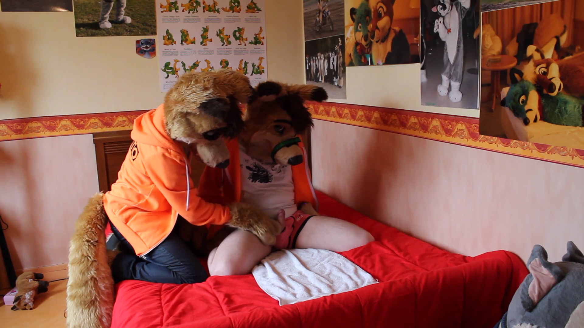Tied Down Dingo Gets Overstimulated Hard