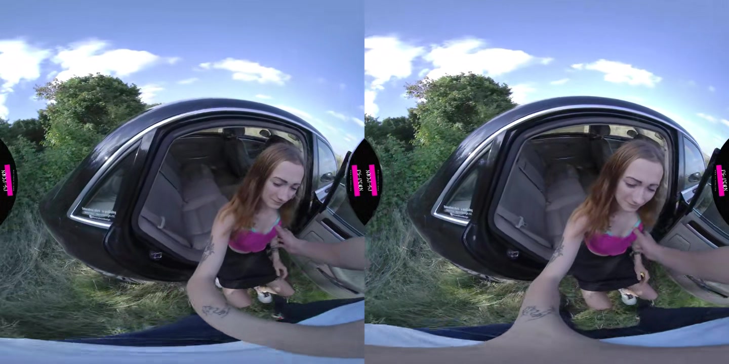 Afternoon Sex In The Car