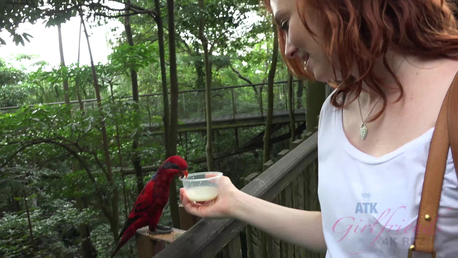 Virtual Vacation In Singapore With Emma Evins Part 3