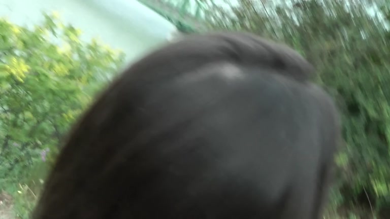 Passionate girl has sex in public place