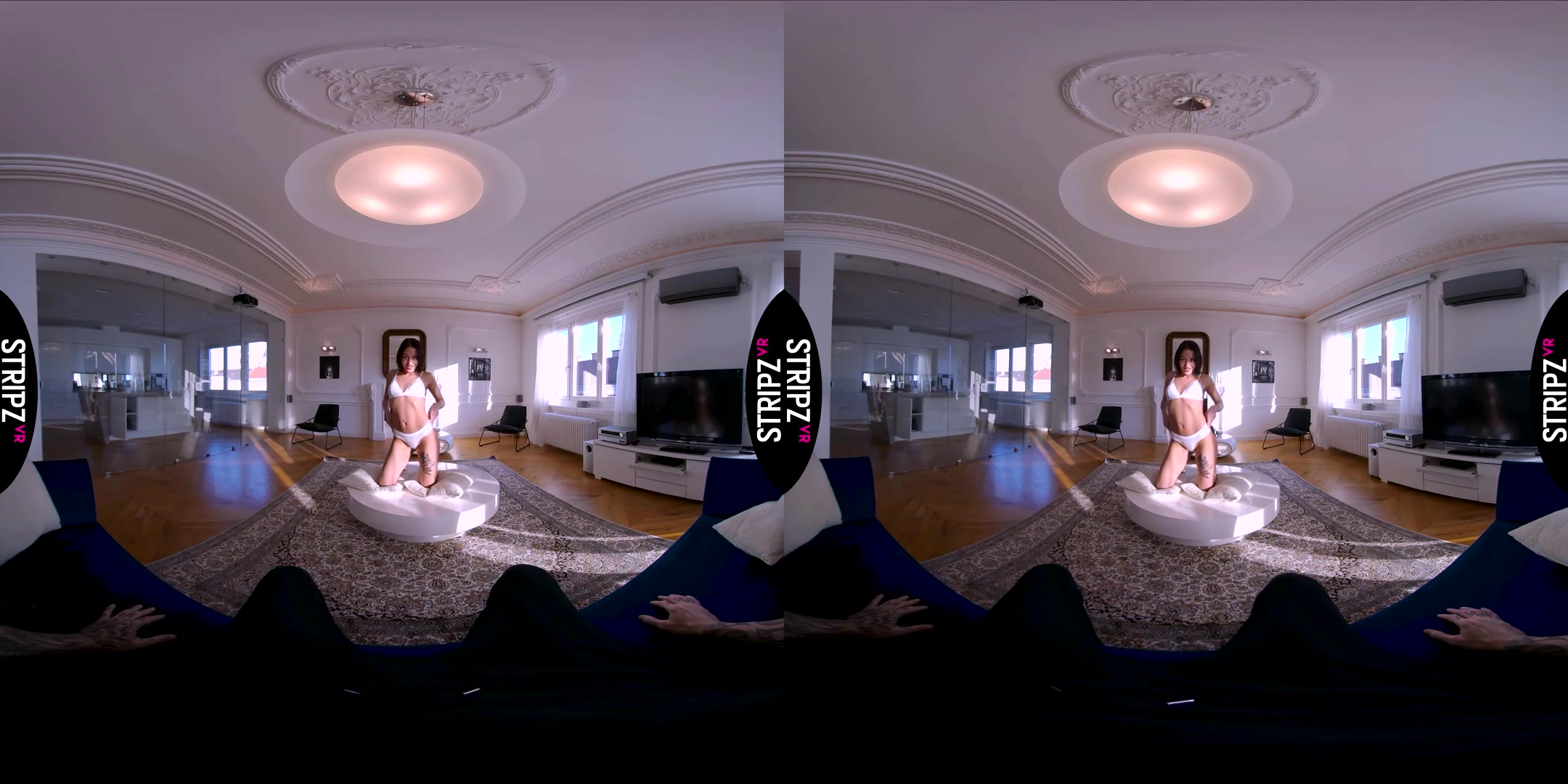 Private Lapdance - SexLikeReal