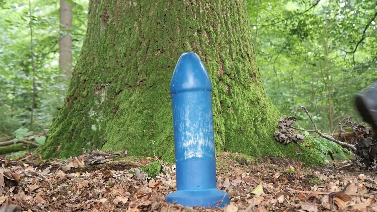 Mushroom Picking In The Luneburg Heath