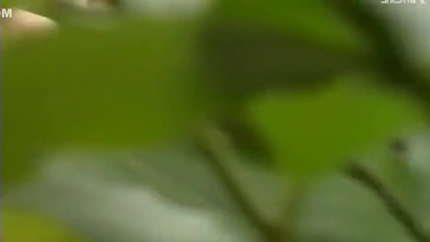 Best Porn Movie Outdoor Greatest Ever Seen