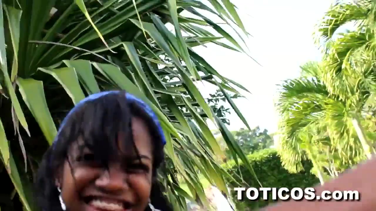 Toticos Yoelisa - Toticos